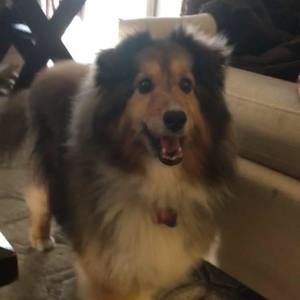 Meet your Posher, Meagan